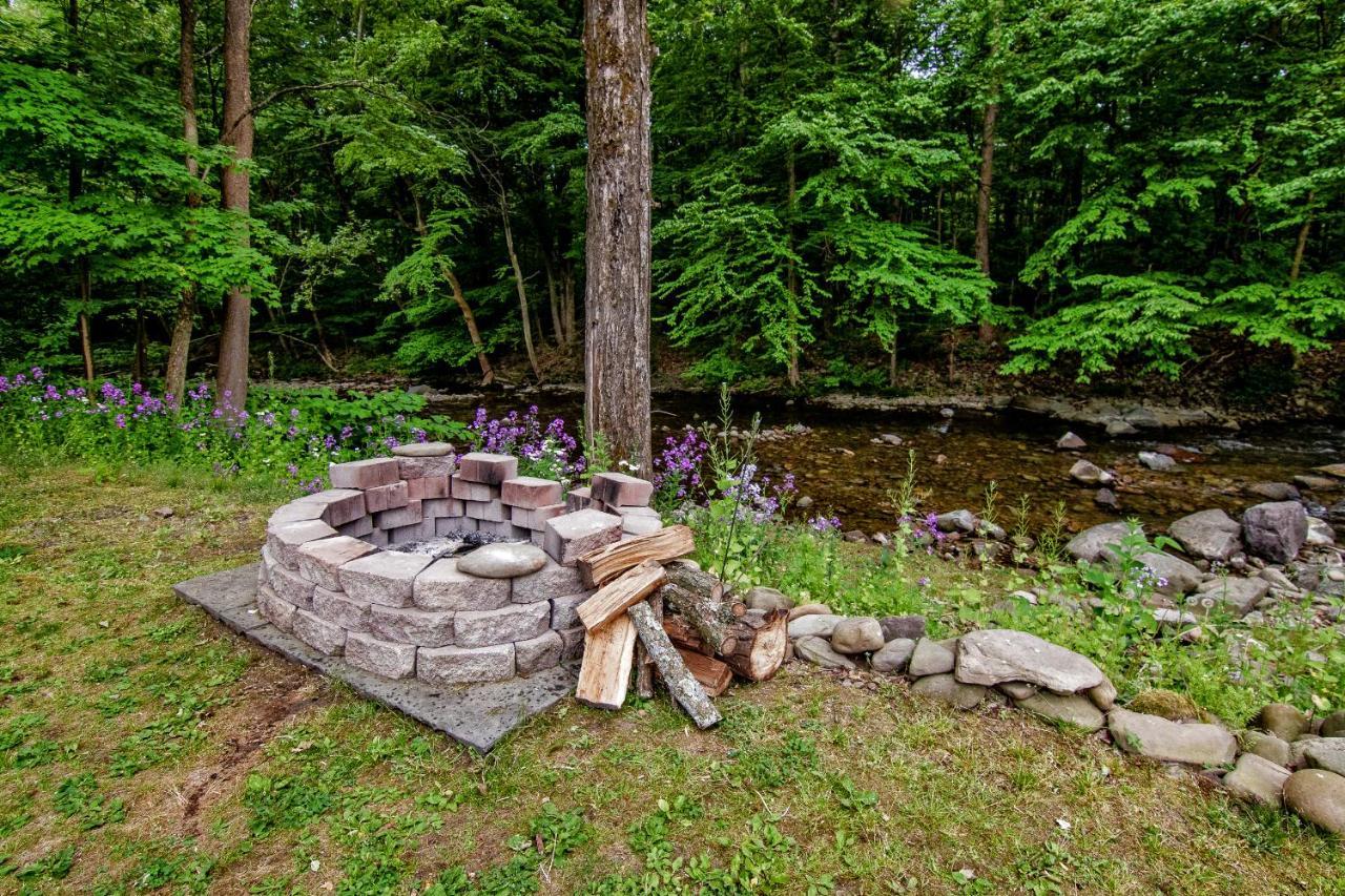 Cabin By The Creek With Private Creek Access 坦纳斯维尔 外观 照片