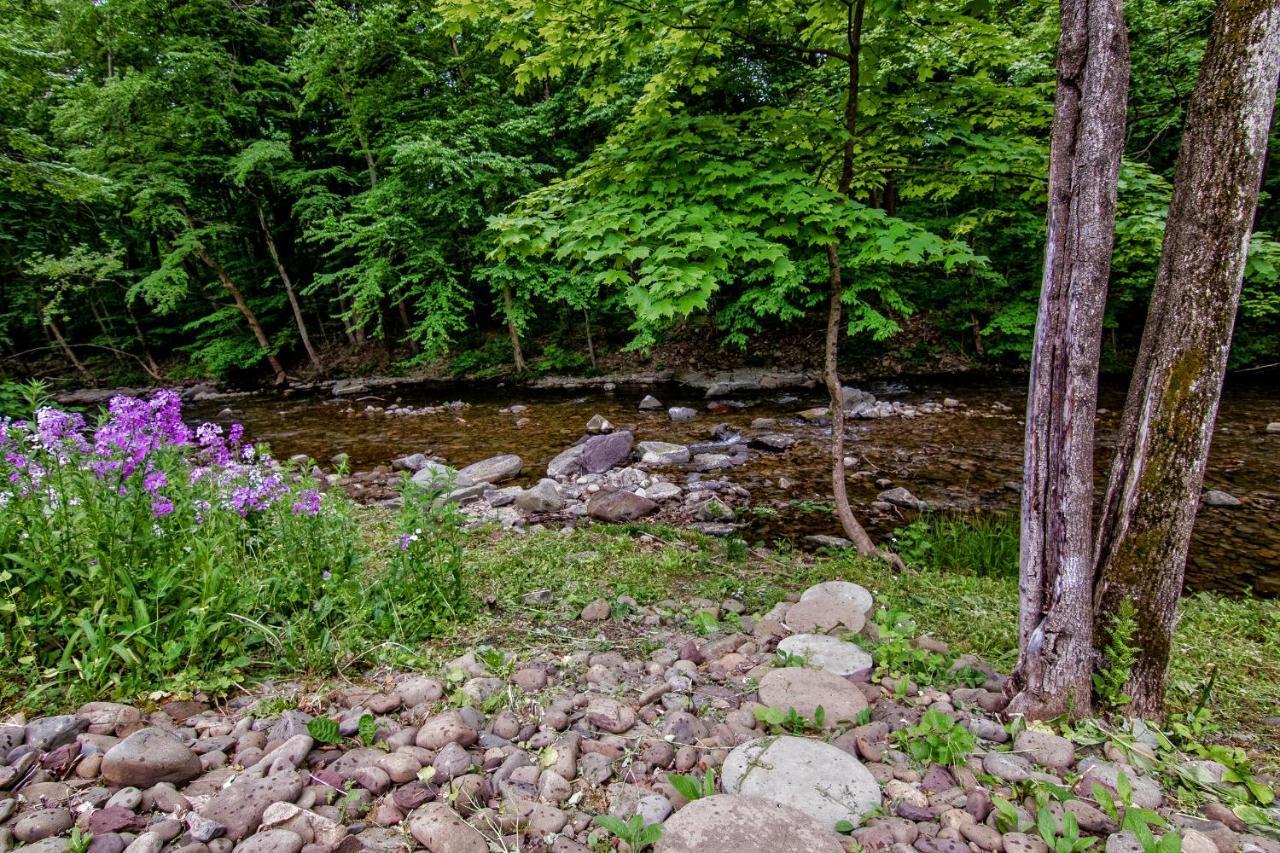 Cabin By The Creek With Private Creek Access 坦纳斯维尔 外观 照片