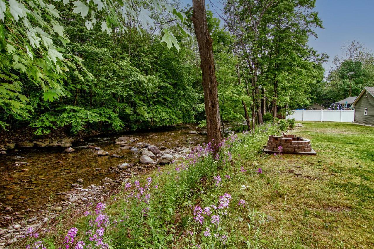 Cabin By The Creek With Private Creek Access 坦纳斯维尔 外观 照片