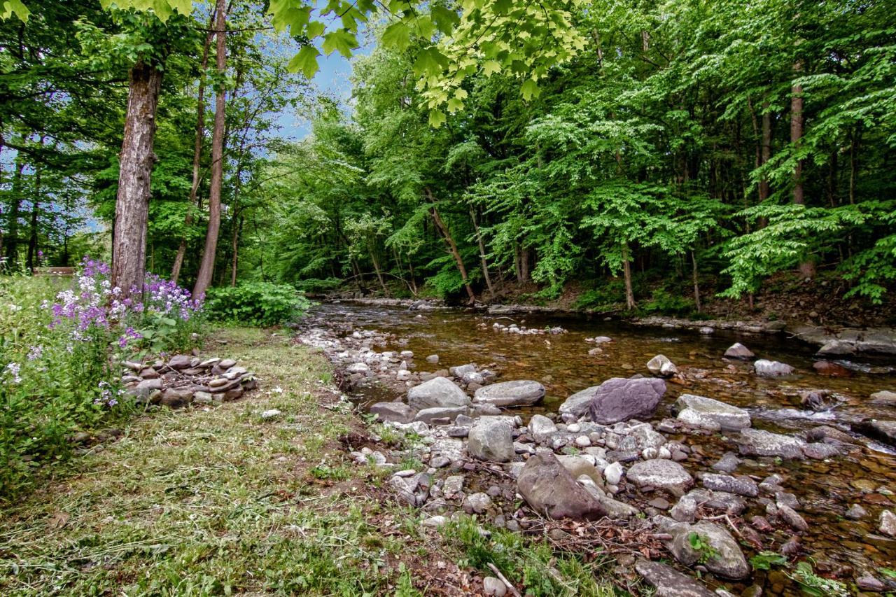 Cabin By The Creek With Private Creek Access 坦纳斯维尔 外观 照片